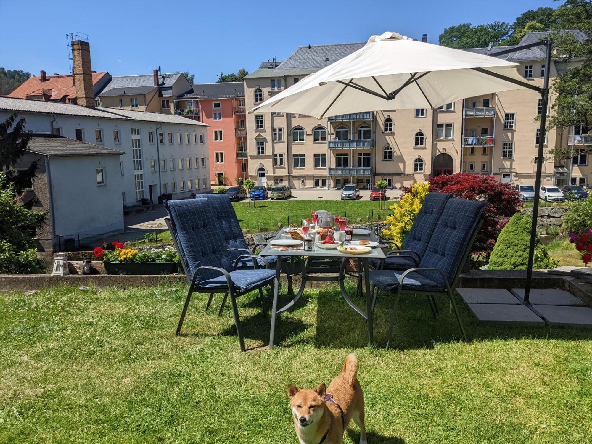 Hw3 - Urlaubsmagie - Helle, Grosse Wohnung Mit Pool เซบนิทซ์ ภายนอก รูปภาพ
